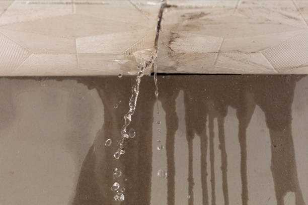 Professional Structural Drying technician working in Omega, GA